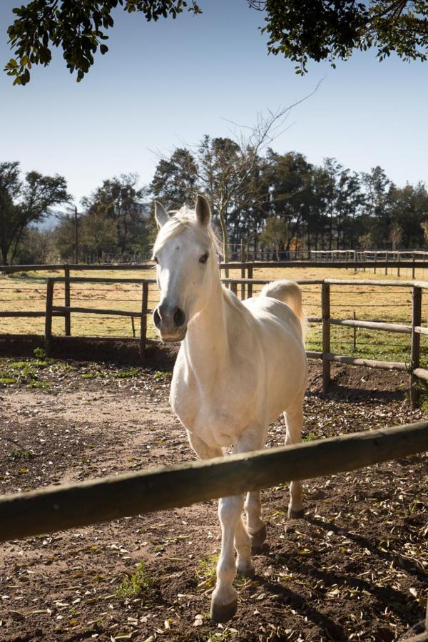 Aasvoelkrans Guest Farm Panzió Montagu Kültér fotó